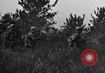 Image of 7th Marine Division Okinawa Ryukyu Islands, 1945, second 40 stock footage video 65675052923