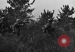 Image of 7th Marine Division Okinawa Ryukyu Islands, 1945, second 41 stock footage video 65675052923