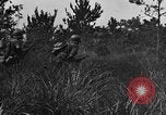Image of 7th Marine Division Okinawa Ryukyu Islands, 1945, second 45 stock footage video 65675052923