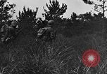 Image of 7th Marine Division Okinawa Ryukyu Islands, 1945, second 48 stock footage video 65675052923