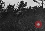 Image of 7th Marine Division Okinawa Ryukyu Islands, 1945, second 49 stock footage video 65675052923