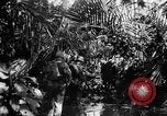 Image 182e Régiment Cebu Philippines, 1945, de la seconde 50 séquences d'archives historiques vidéo 65675052929