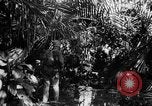 Image 182e Régiment Cebu Philippines, 1945, de la seconde 51 séquences d'archives historiques vidéo 65675052929