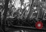 Image 182e Régiment Cebu Philippines, 1945, de la seconde 54 séquences d'archives historiques vidéo 65675052929