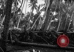 Image 182e Régiment Cebu Philippines, 1945, de la seconde 55 séquences d'archives historiques vidéo 65675052929