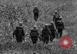 Image of 24th Army Corps Okinawa Ryukyu Islands, 1945, second 10 stock footage video 65675052934