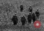 Image of 24th Army Corps Okinawa Ryukyu Islands, 1945, second 11 stock footage video 65675052934