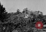Image of 24th Army Corps Okinawa Ryukyu Islands, 1945, second 39 stock footage video 65675052934