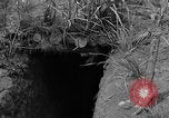 Image les troupes des États-Unis Okinawa îles Ryukyu, 1945, de la seconde 29 séquences d'archives historiques vidéo 65675052936