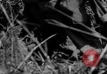 Standbild 63 Regiment Manila Philippinen, 1945, aus Sekunde 39 historischem Filmmaterial Videoclip 65675052938