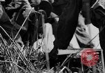 Standbild 63 Regiment Manila Philippinen, 1945, aus Sekunde 40 historischem Filmmaterial Videoclip 65675052938