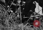 Standbild 63 Regiment Manila Philippinen, 1945, aus Sekunde 41 historischem Filmmaterial Videoclip 65675052938