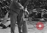 Standbild USA Ordnance Mann Okinawa Ryukyu Inseln, 1945, aus Sekunde 46 historischem Filmmaterial Videoclip 65675052939