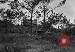 Standbild Vereinigten Staaten Truppen Okinawa Ryukyu Inseln, 1945, aus Sekunde 8 historischem Filmmaterial Videoclip 65675052940