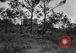 Standbild Vereinigten Staaten Truppen Okinawa Ryukyu Inseln, 1945, aus Sekunde 9 historischem Filmmaterial Videoclip 65675052940