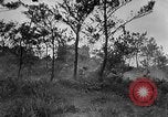 Standbild Vereinigten Staaten Truppen Okinawa Ryukyu Inseln, 1945, aus Sekunde 10 historischem Filmmaterial Videoclip 65675052940
