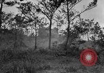 Standbild Vereinigten Staaten Truppen Okinawa Ryukyu Inseln, 1945, aus Sekunde 11 historischem Filmmaterial Videoclip 65675052940
