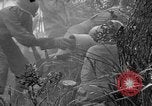 Standbild Vereinigten Staaten Truppen Okinawa Ryukyu Inseln, 1945, aus Sekunde 13 historischem Filmmaterial Videoclip 65675052940