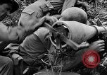 Standbild Vereinigten Staaten Truppen Okinawa Ryukyu Inseln, 1945, aus Sekunde 19 historischem Filmmaterial Videoclip 65675052940