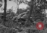 Standbild Vereinigten Staaten Truppen Okinawa Ryukyu Inseln, 1945, aus Sekunde 21 historischem Filmmaterial Videoclip 65675052940