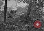Standbild Vereinigten Staaten Truppen Okinawa Ryukyu Inseln, 1945, aus Sekunde 23 historischem Filmmaterial Videoclip 65675052940