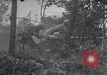 Standbild Vereinigten Staaten Truppen Okinawa Ryukyu Inseln, 1945, aus Sekunde 24 historischem Filmmaterial Videoclip 65675052940