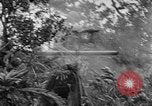 Standbild Vereinigten Staaten Truppen Okinawa Ryukyu Inseln, 1945, aus Sekunde 28 historischem Filmmaterial Videoclip 65675052940