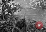 Standbild Vereinigten Staaten Truppen Okinawa Ryukyu Inseln, 1945, aus Sekunde 29 historischem Filmmaterial Videoclip 65675052940