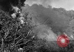 Image of United States troops Okinawa Ryukyu Islands, 1945, second 46 stock footage video 65675052942
