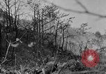 Image of United States troops Okinawa Ryukyu Islands, 1945, second 59 stock footage video 65675052942