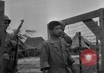 Image of Japanese prisoners of war Okinawa Ryukyu Islands, 1945, second 25 stock footage video 65675052943