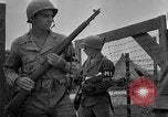 Image of Japanese prisoners of war Okinawa Ryukyu Islands, 1945, second 26 stock footage video 65675052943