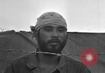 Image of Japanese prisoners of war Okinawa Ryukyu Islands, 1945, second 40 stock footage video 65675052943