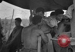 Image of Japanese prisoners of war Okinawa Ryukyu Islands, 1945, second 45 stock footage video 65675052943