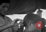 Image of Japanese prisoners of war Okinawa Ryukyu Islands, 1945, second 47 stock footage video 65675052943
