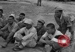 Image of Japanese prisoners of war Okinawa Ryukyu Islands, 1945, second 60 stock footage video 65675052943