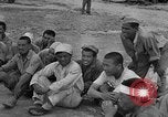 Image of Japanese prisoners of war Okinawa Ryukyu Islands, 1945, second 61 stock footage video 65675052943