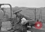 Standbild 306 Infanterie Division 77 Okinawa Ryukyu Inseln, 1945, aus Sekunde 56 historischem Filmmaterial Videoclip 65675052945