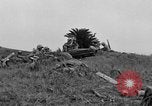 Standbild 306 Infanterie Division 77 Okinawa Ryukyu Inseln, 1945, aus Sekunde 36 historischem Filmmaterial Videoclip 65675052947