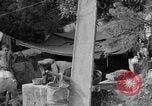 Image of 165th Infantry 27th Division Shima Okinawa Ryukyu Islands, 1945, second 48 stock footage video 65675052951