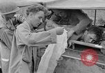 Image of 165th Infantry 27th Division Shima Okinawa Ryukyu Islands, 1945, second 54 stock footage video 65675052953