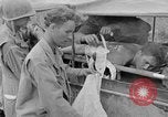 Image of 165th Infantry 27th Division Shima Okinawa Ryukyu Islands, 1945, second 55 stock footage video 65675052953