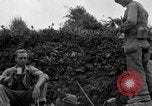 Standbild 305th Infantry Division 77 Yuza Okinawa Ryukyu Inseln, 1945, aus Sekunde 18 historischem Filmmaterial Videoclip 65675052955
