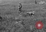 Standbild 305th Infantry Division 77 Yuza Okinawa Ryukyu Inseln, 1945, aus Sekunde 20 historischem Filmmaterial Videoclip 65675052957