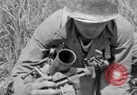 Standbild 305th Infantry Division 77 Yuza Okinawa Ryukyu Inseln, 1945, aus Sekunde 38 historischem Filmmaterial Videoclip 65675052957