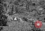 Image of United States soldiers Okinawa Ryukyu Islands, 1945, second 13 stock footage video 65675052960
