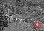 Image of United States soldiers Okinawa Ryukyu Islands, 1945, second 17 stock footage video 65675052960