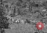 Image of United States soldiers Okinawa Ryukyu Islands, 1945, second 18 stock footage video 65675052960