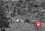 Image of United States soldiers Okinawa Ryukyu Islands, 1945, second 25 stock footage video 65675052960
