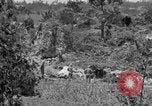 Image of United States soldiers Okinawa Ryukyu Islands, 1945, second 28 stock footage video 65675052960